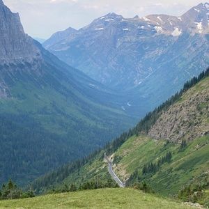 Meet your Posher, Daisy